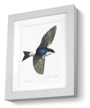 House Martin framed print bird painting fine art print