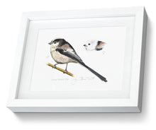Long-tailed Tit Framed print bird painting fine art print