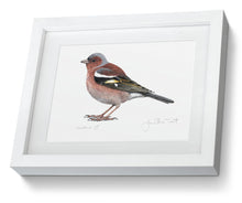 Framed Male Chaffinch Print Bird Painting Art Print