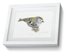 Goldcrest Framed print bird painting fine art