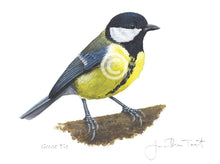 Great Tit bird painting fine art print