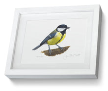 Great Tit framed print bird painting fine art print