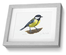 Great Tit framed bird painting fine art print