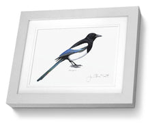 framed print Magpie  Bird Painting Art Print