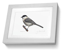 Framed Marsh Tit Print Bird Painting Art Print