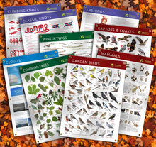The full set of outdoor banners (FREE BANNER OFFER)