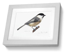 Framed Print Willow Tit Bird Painting Art Print