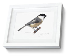 Framed Willow Tit Print Bird Painting Art Print