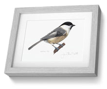 Willow Tit Framed Print Bird Painting Art Print