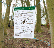Winter Twigs Identification Outdoor Banner