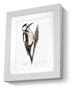Framed Great Spotted Woodpecker bird painting fine art print