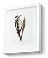 Great Spotted Woodpecker Framed print bird painting fine art print