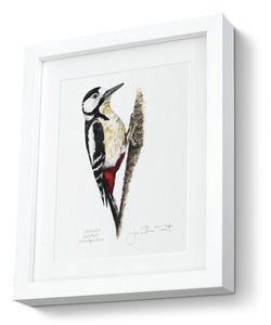 Great Spotted Woodpecker Framed print bird painting fine art print