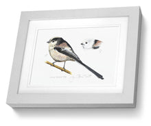 Framed print Long-tailed Tit bird painting fine art print