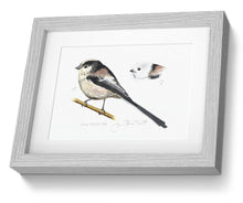 Long-tailed Tit Framed print bird painting fine art print
