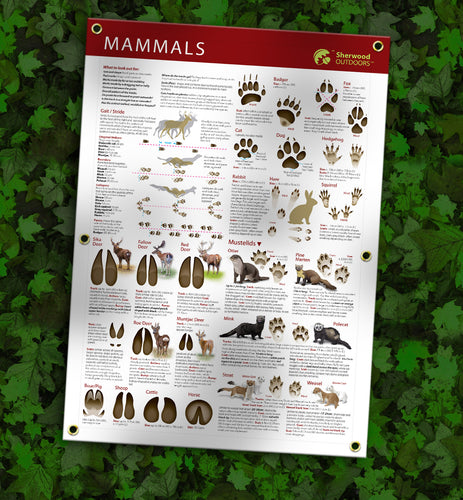 How to identify Animal Tracks Recyclable PET Outdoor Banner A1