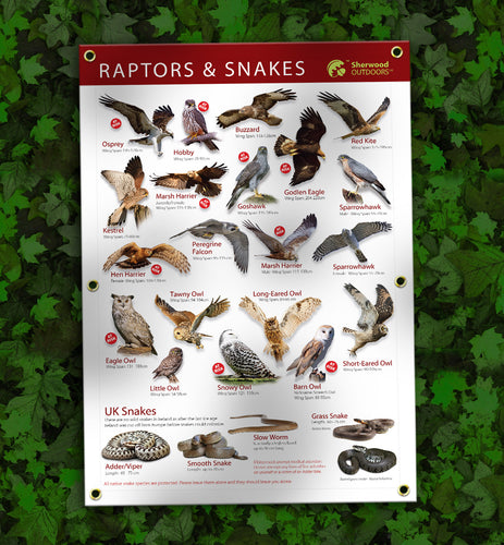 Birds of prey and snake identification waterproof outdoor banner