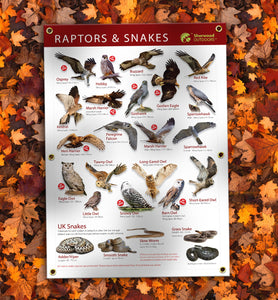 Birds of prey and snakes identification and I.D. Outdoor Banner A1