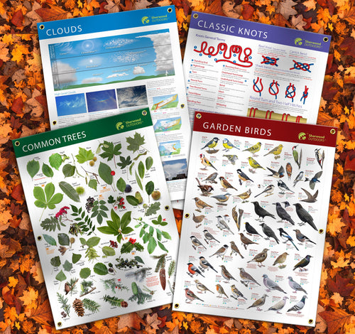The Esstentials - Set of 4 waterproof outdoor banner posters (SAVE 10% on RRP)