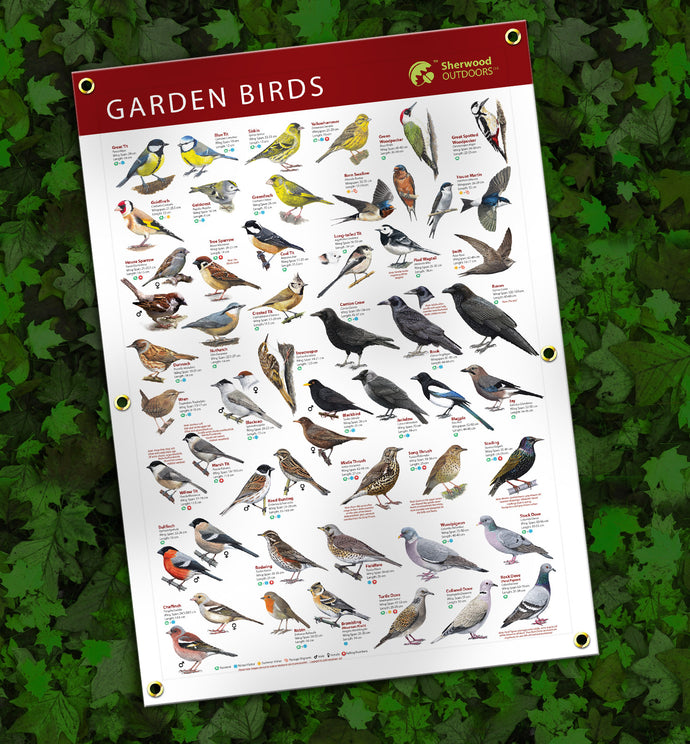 How to identify Garden Birds Identification Recylable P.E.T. Outdoor Banner A1