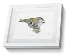 Goldcrest Framed print bird painting fine art 