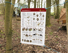 animal tracks and tracking outdoor banner