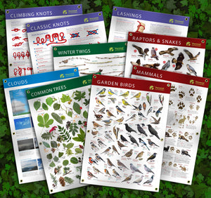 The full set of outdoor school/scouts banners