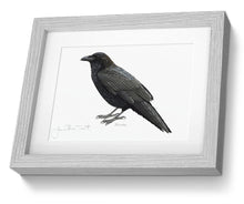Raven Framed Print Bird Painting Art Print