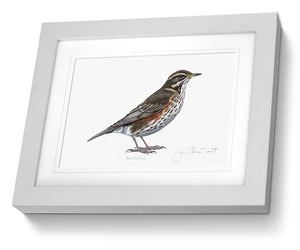 Redwing Framed Print Bird Painting Art Print