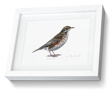 Framed Redwing Print Bird Painting Art Print