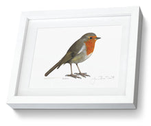 Framed Robin Print Bird Painting Art Print
