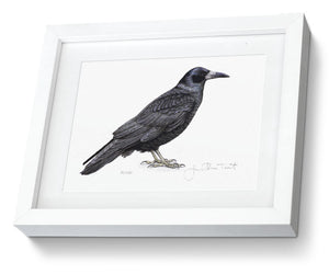 Framed Rook Print Bird Painting Art Print