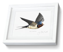 Framed Swallow Print Bird Painting Art Print