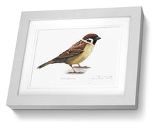 Framed Print Tree Sparrow Bird Painting Art Print