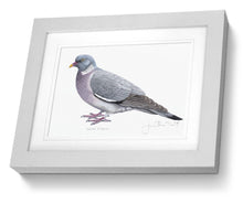 Framed Print Wood Pigeon Bird Painting Art Print