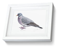 Framed Wood Pigeon Print Bird Painting Art Print