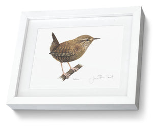 Framed Wren Print Bird Painting Art Print