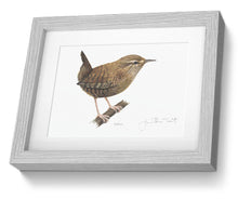 Wren Framed Print Bird Painting Art Print